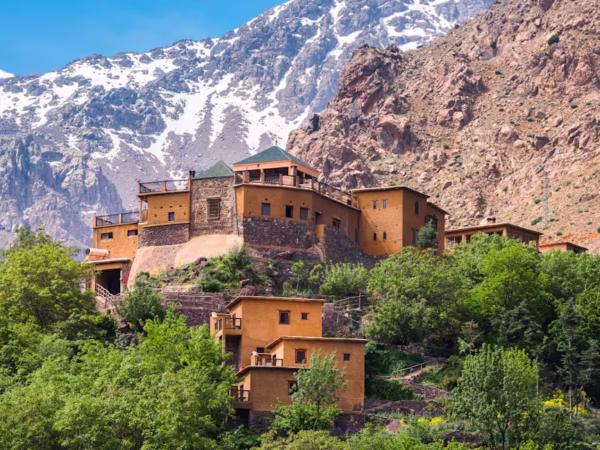 Gardens & Green Spaces of Morocco – 15 Days of Discovery