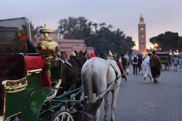 Marrakech by Night with Horse Carriage
