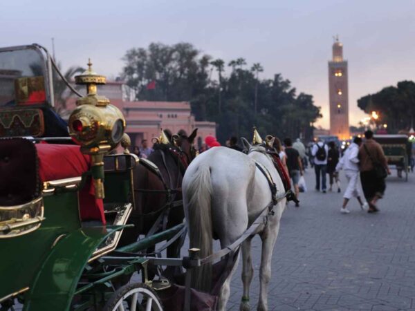 Marrakech by Night with Horse Carriage